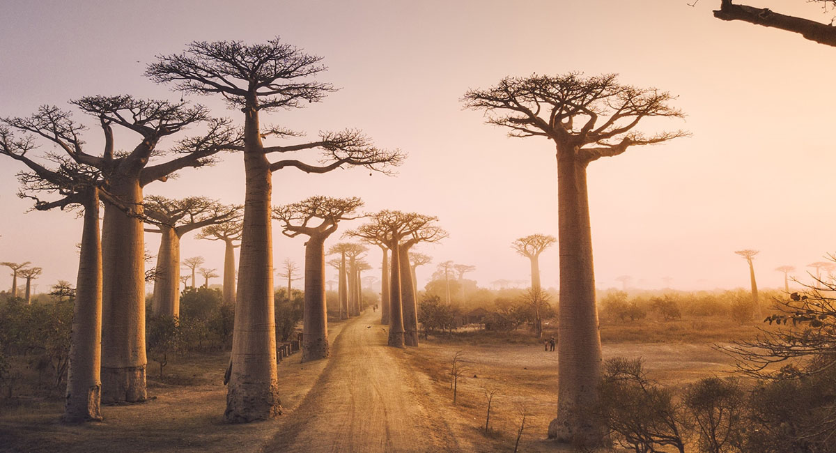 madagascar-is-a-great-destination-for-a-winter-holiday